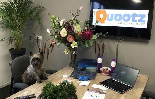 Quootz lizzy sales performance